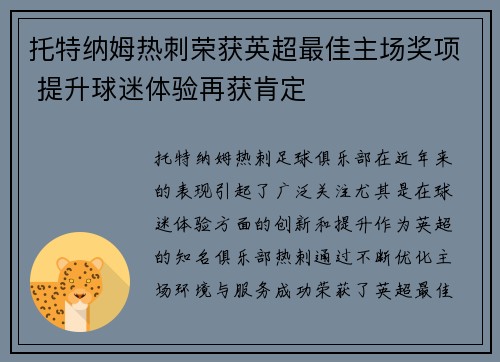 托特纳姆热刺荣获英超最佳主场奖项 提升球迷体验再获肯定